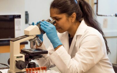 Old anti-parasite drug shows early promise against endometriosis in mice