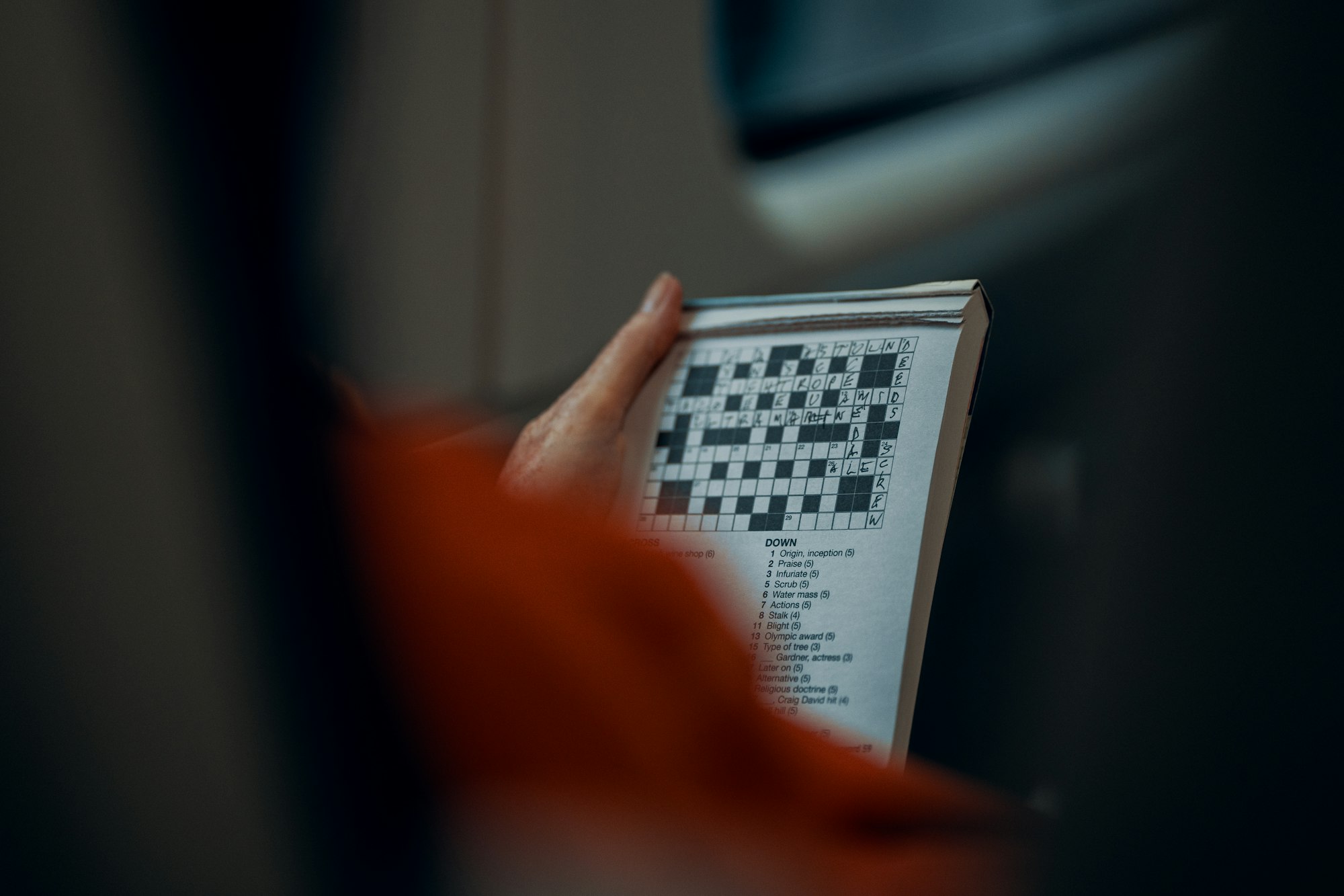 photo-1626195205019-e39840c1df1c A woman works on a crossword puzzle while travelling on a train.